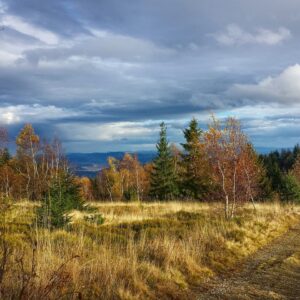 mountains-4714903_1280