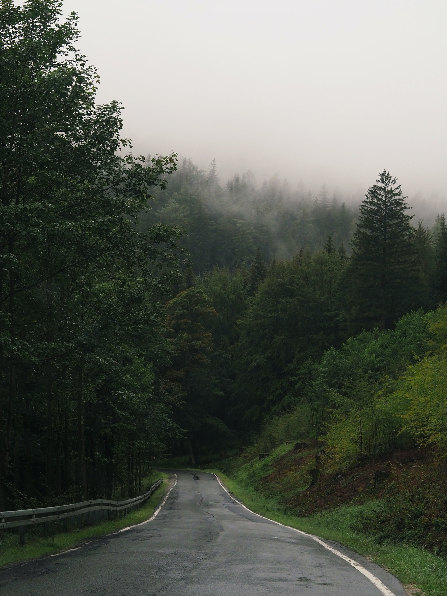 road-6550362_1920