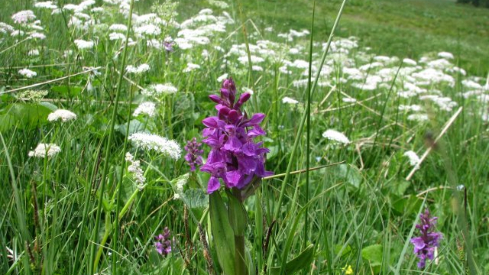 Wiosenny reset w Szczyrku