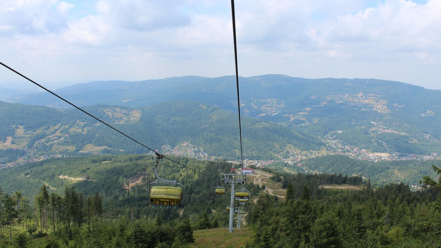 forest-4345932_1280 (1)