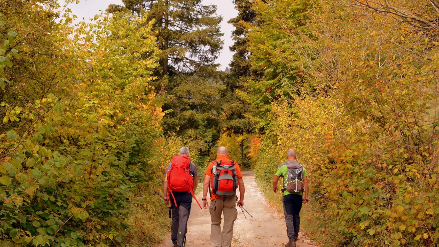 Jesienne trekkingi w Szczyrku