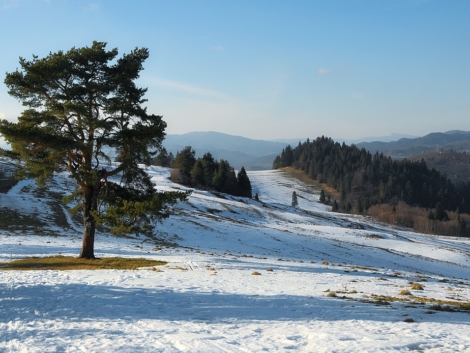 beskidy pozna zima wczesna wiosna