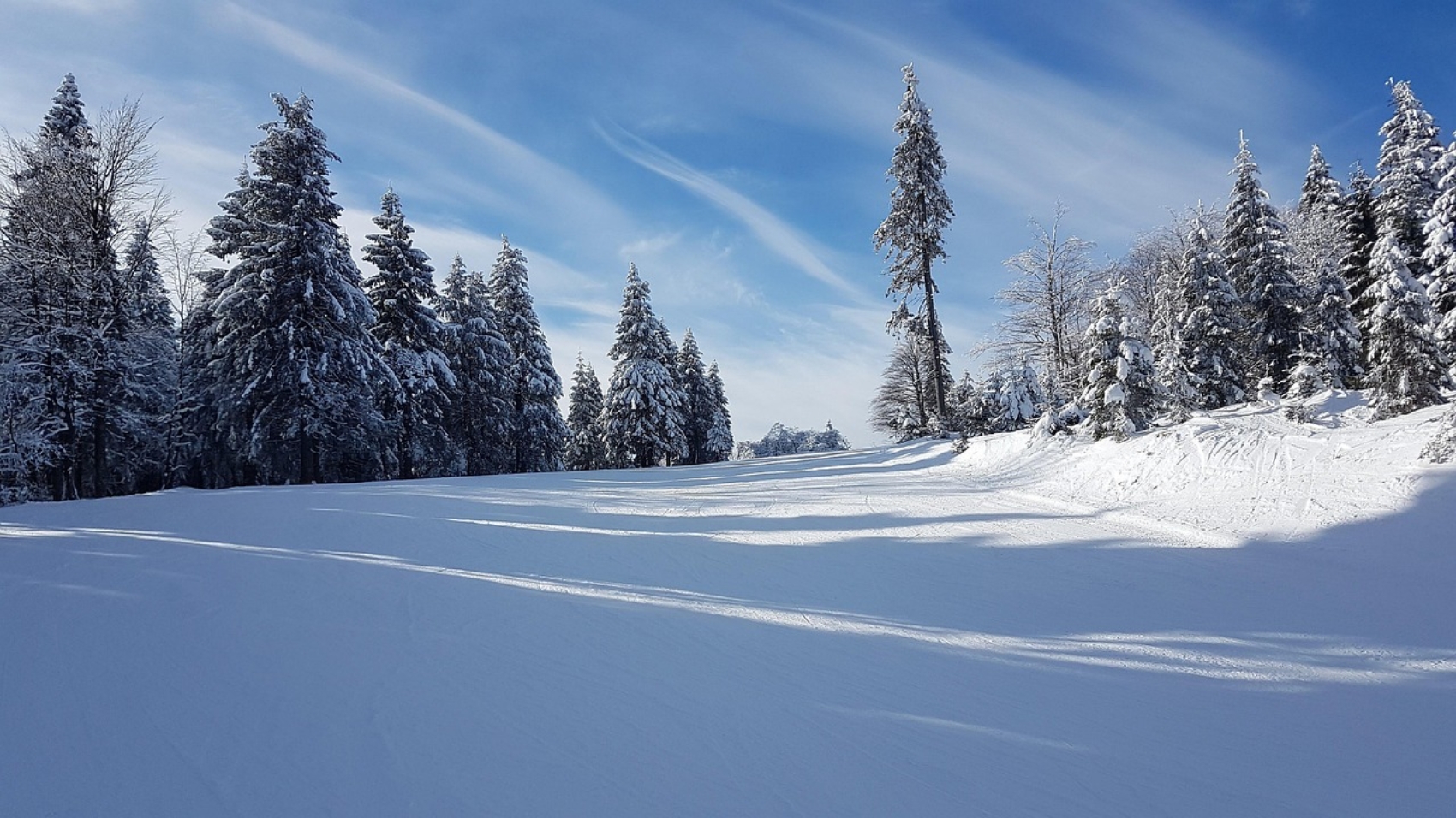 ferie w szczrku w lutym