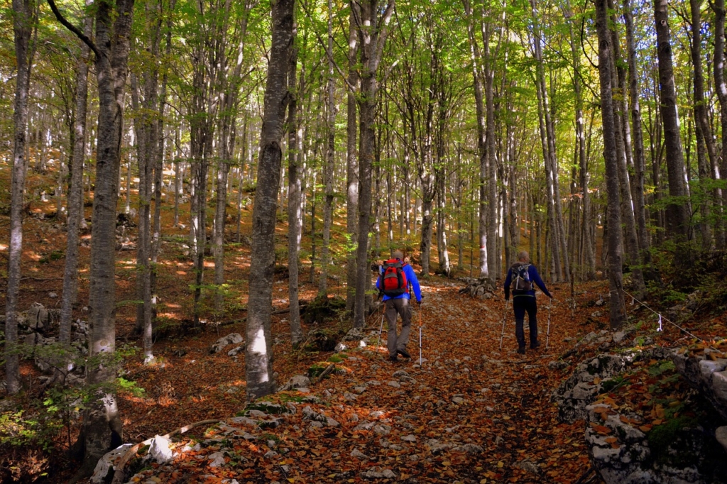 Nordic walking w Szczyrku