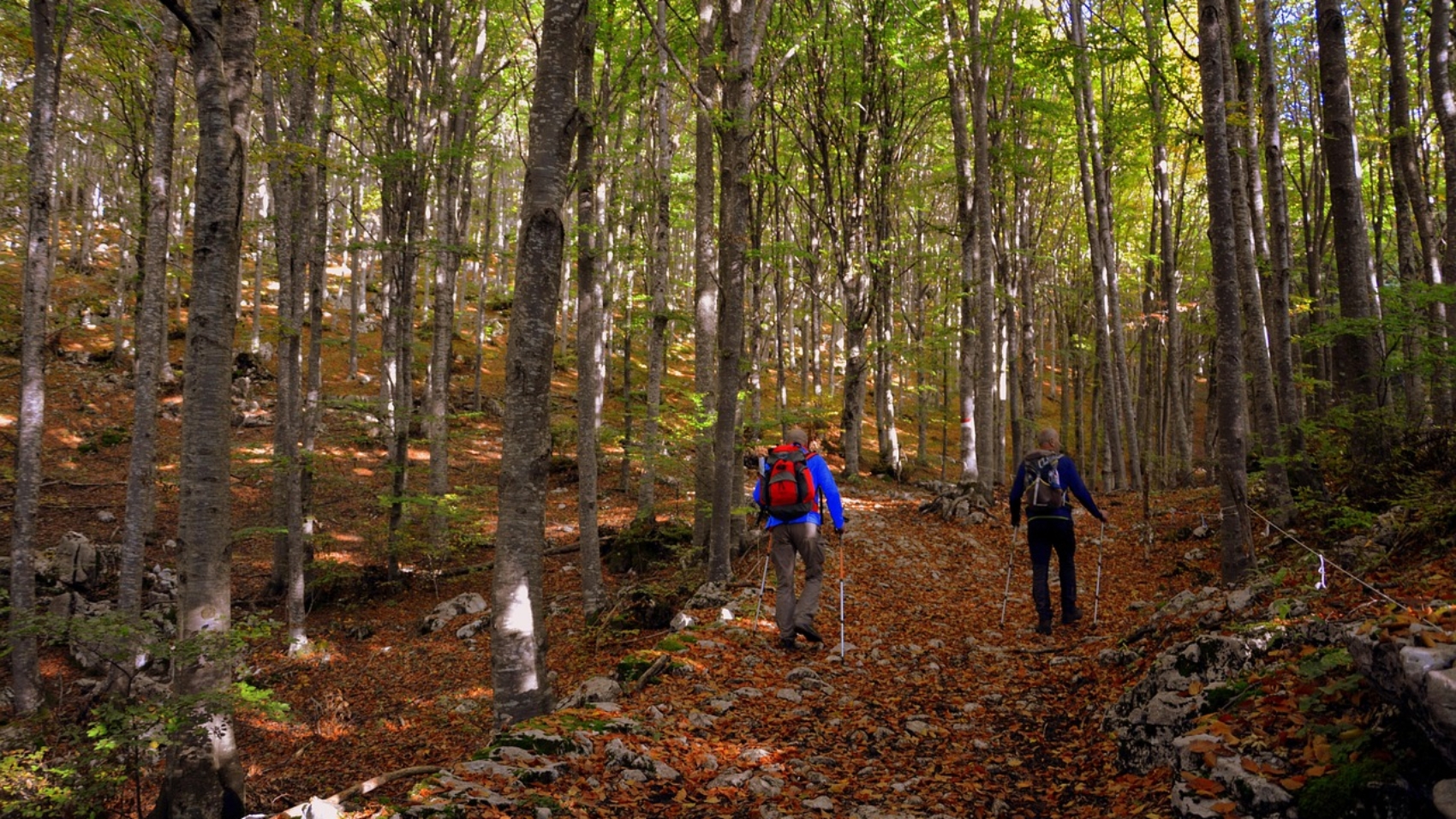 Nordic walking w Szczyrku