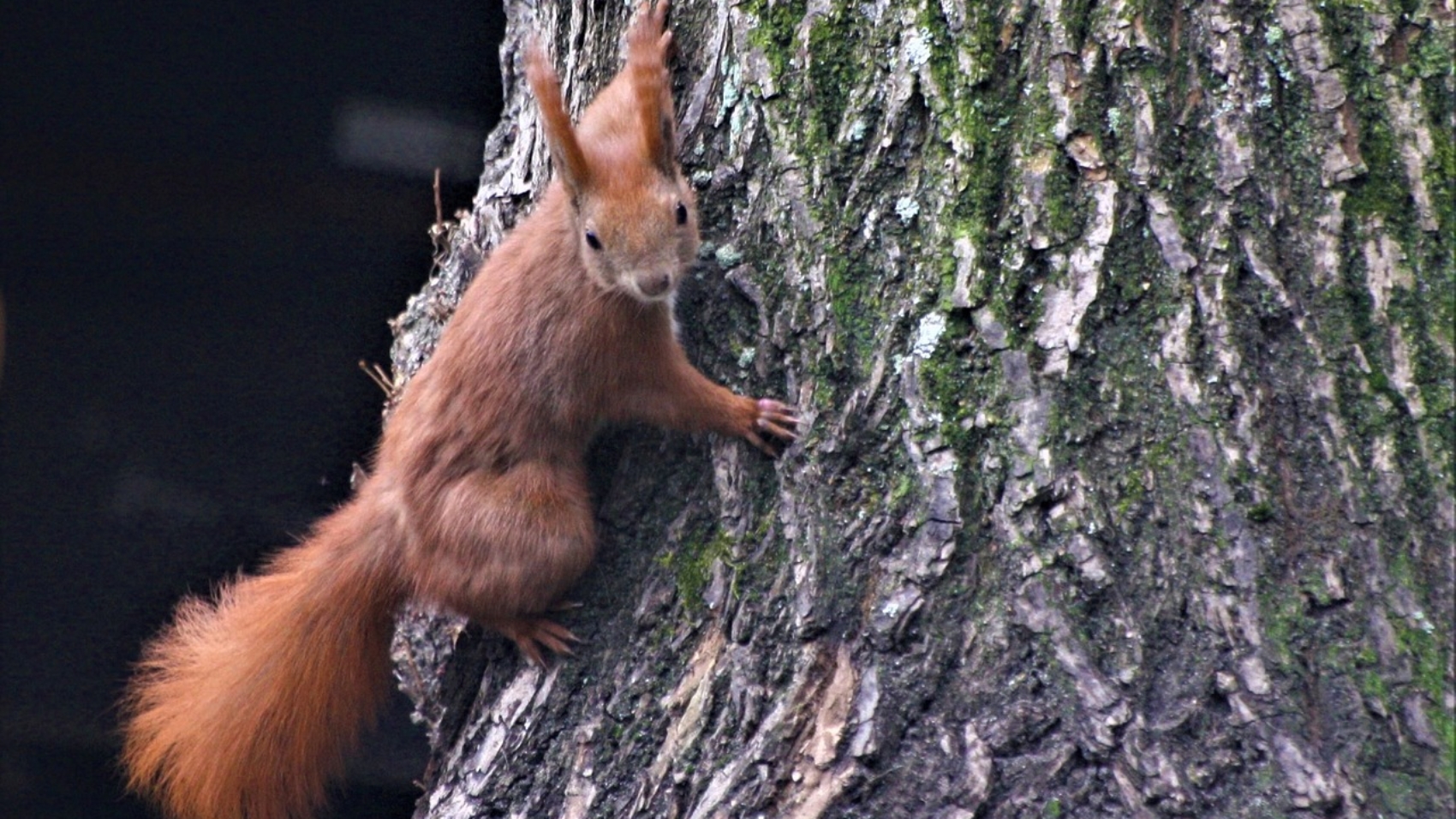 Pierwsze wiosenne spacery