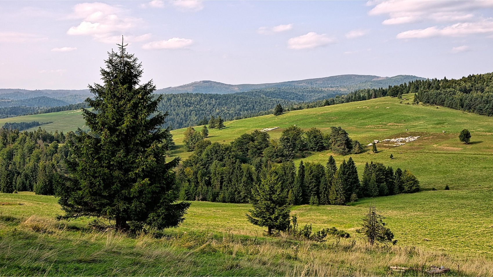 Szczyrk w sierpniu