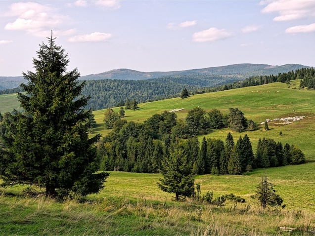 Szczyrk w sierpniu