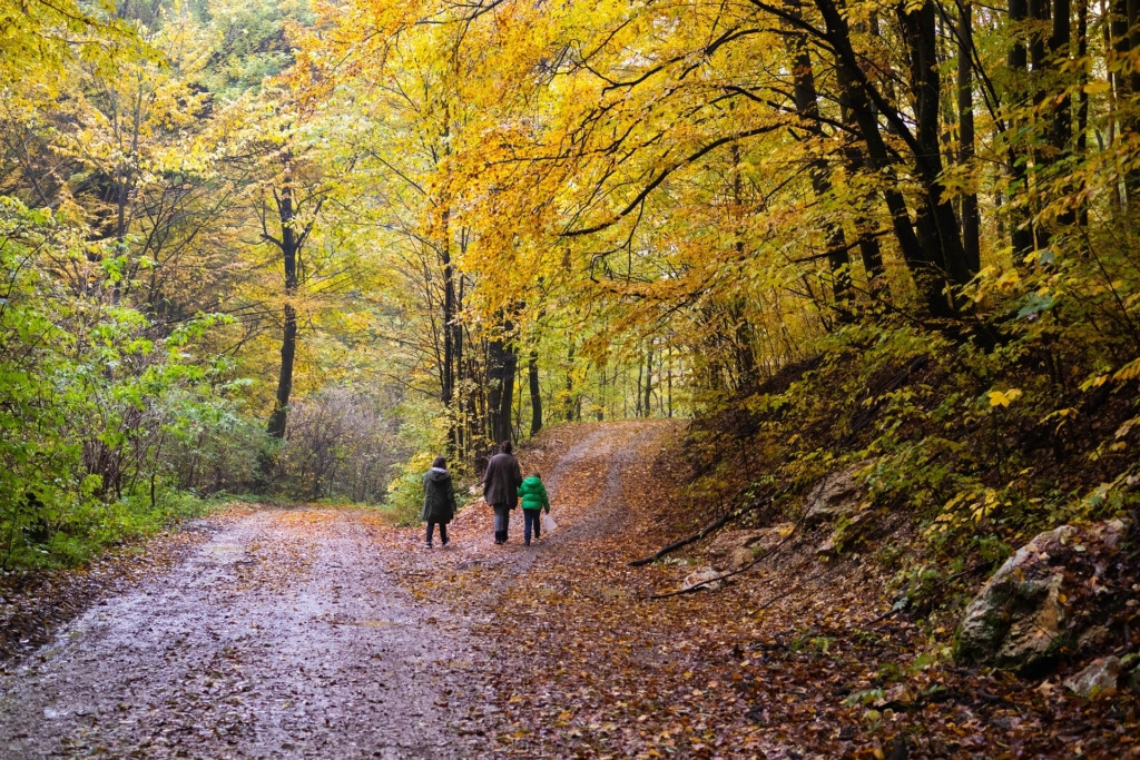 rodzinny dzień w Beskidach