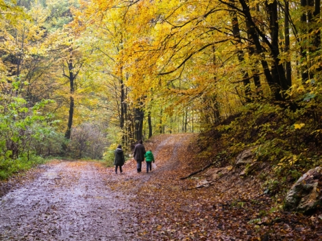 rodzinny dzień w Beskidach